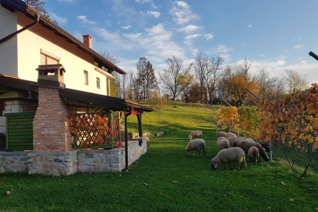 Guest House Pinus Generalski Stol Exterior foto